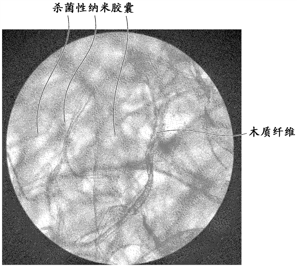 Grape-shaped microparticle aggregates, preparation method thereof, and sanitary paper