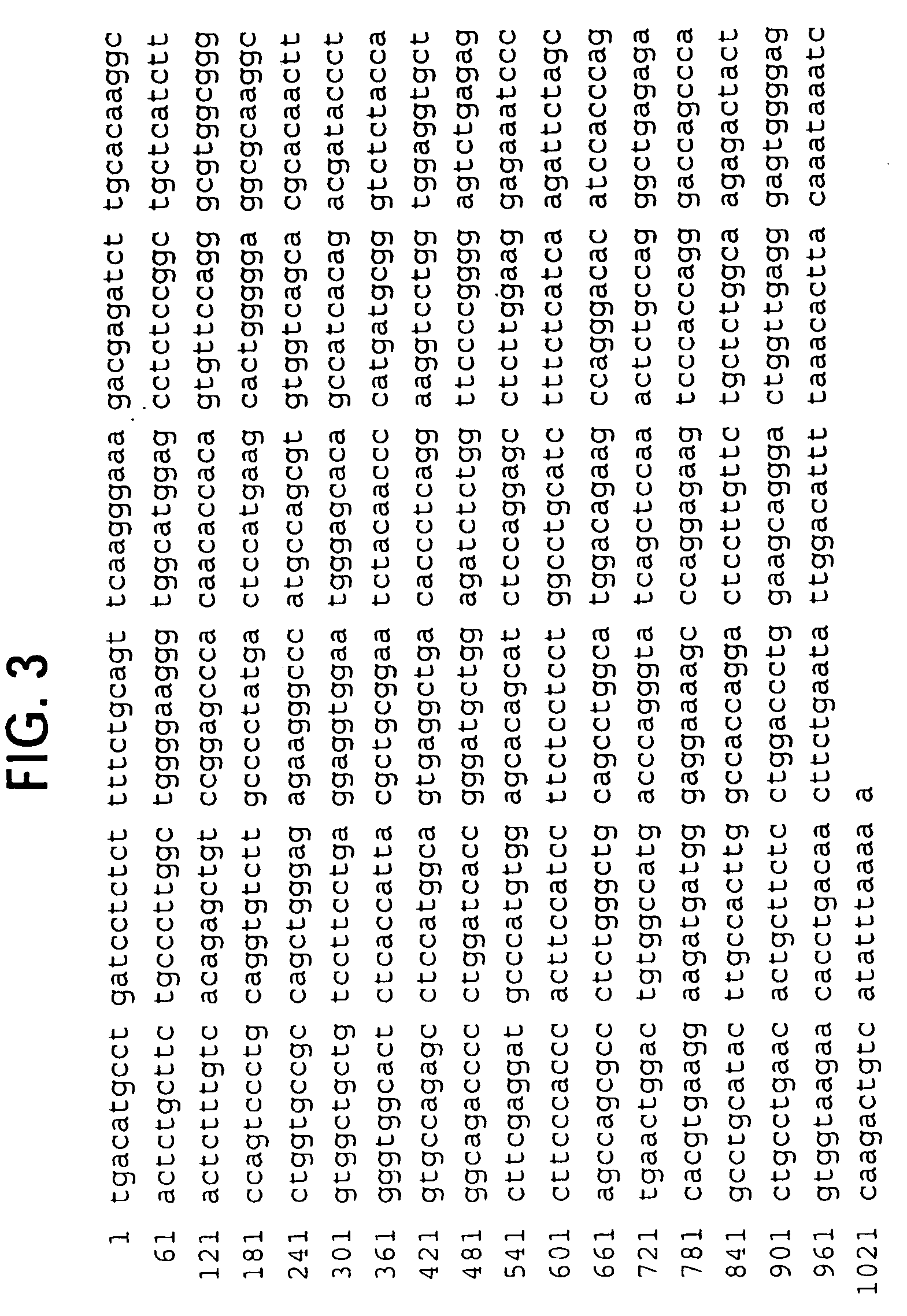 Novel receptor trem (triggering receptor expressed on myeloid cells) and uses thereof