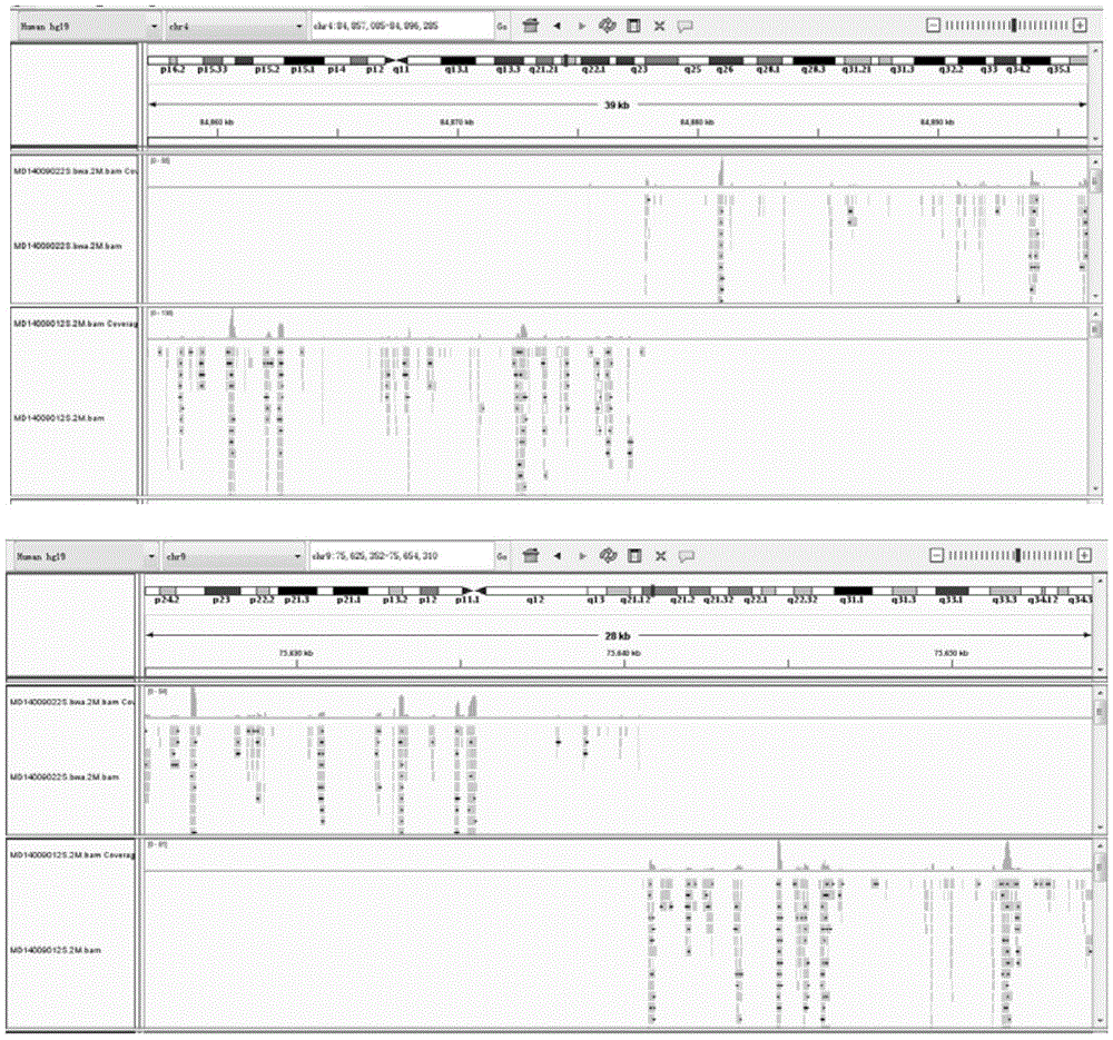 Method for analyzing breakpoints of reciprocal translocation chromosomes