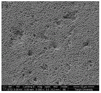 Preparation method of submicron order core/shell structure PLGA (Poly(Lactic-co-Glycolic) microsphere with uniform particle size