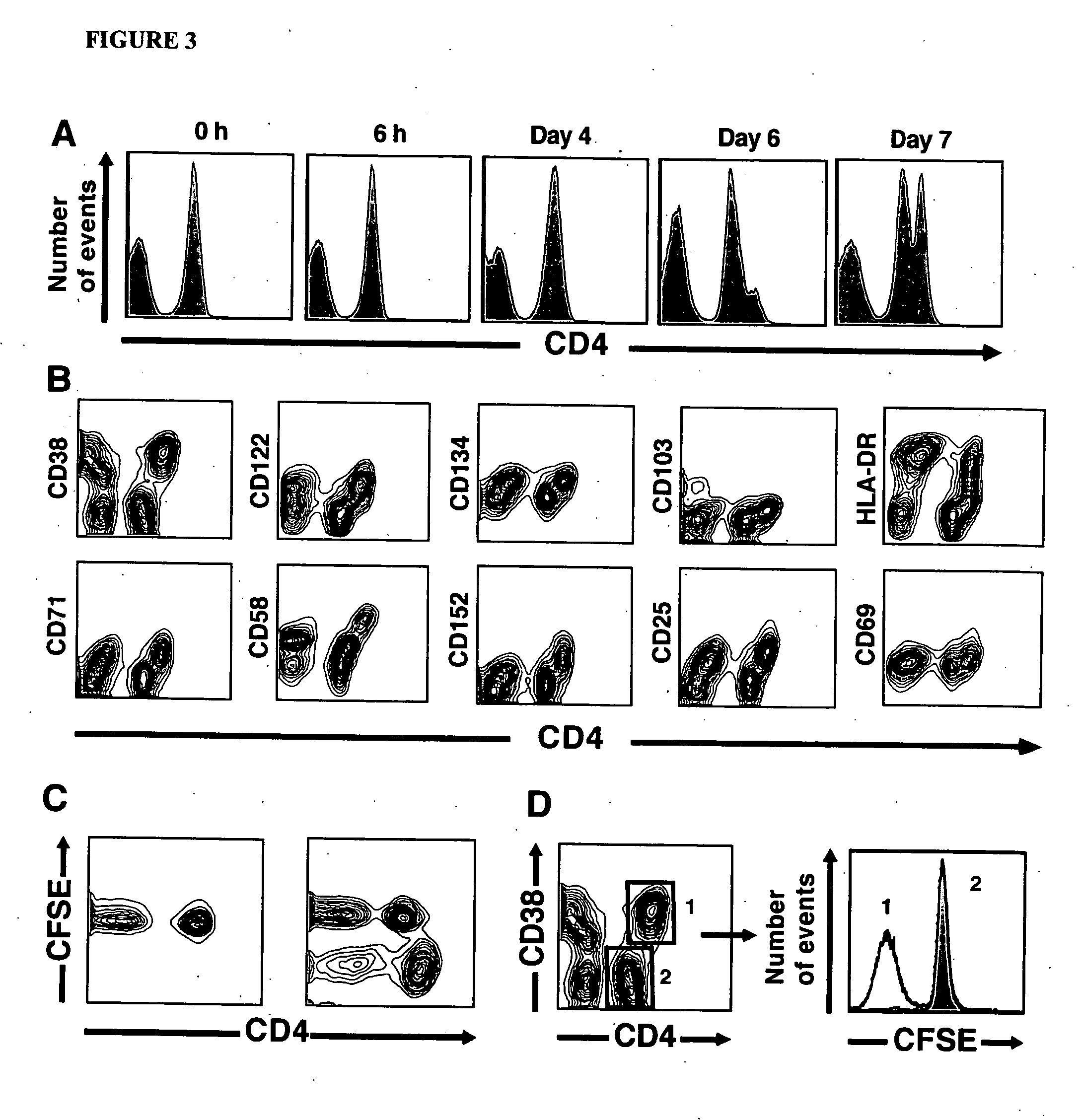 Functional assessment, specific enrichment and specific depletion of alloreactive human T cells