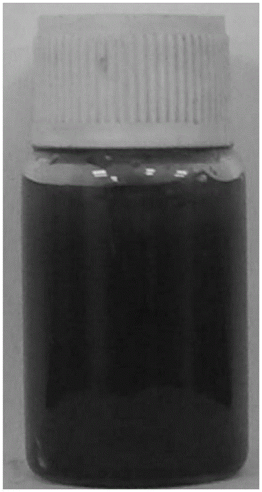 Chitosan and chitosan quaternary ammonium salt composite magnetic microspheres and preparation method thereof