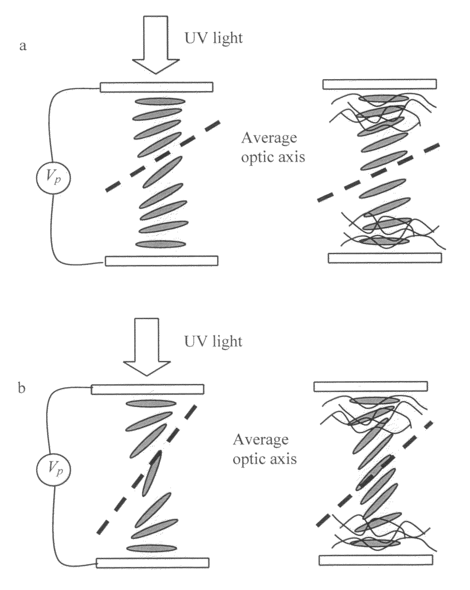 Photo-patterned pre-tilt liquid crystal cells, lenses and methods