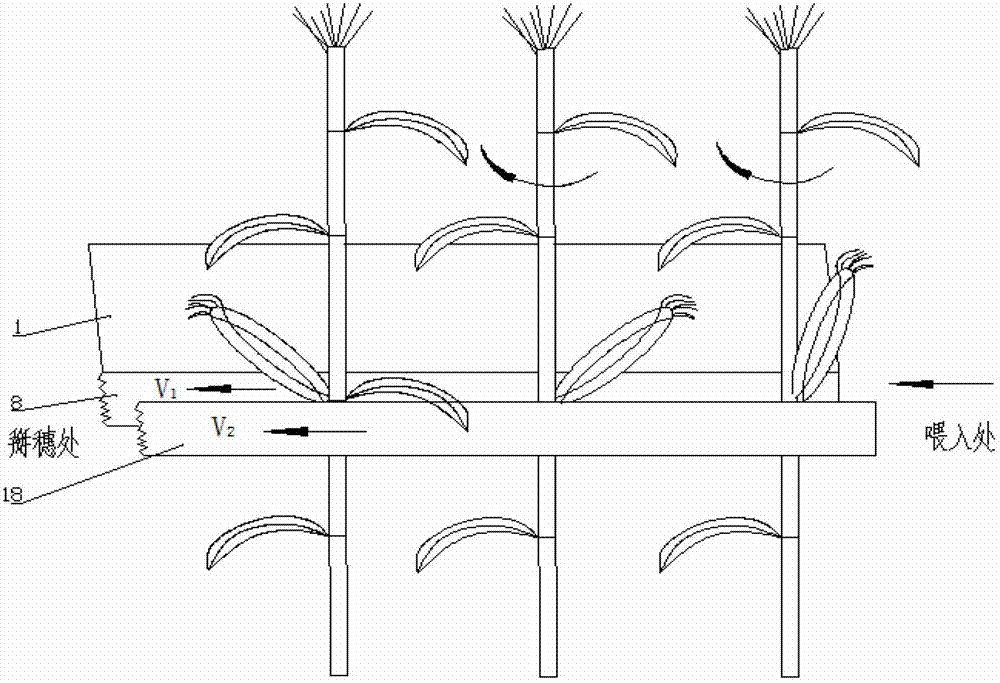 Clamping transporting device of corn picking mechanism