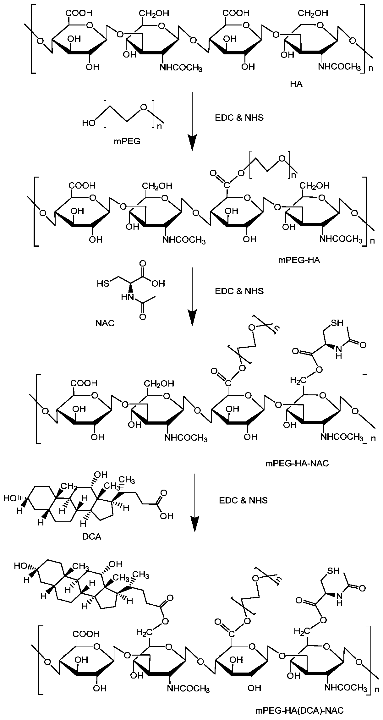 Amphiphilic graft copolymer based on hyaluronic acid, and preparation method and application of amphiphilic graft copolymer