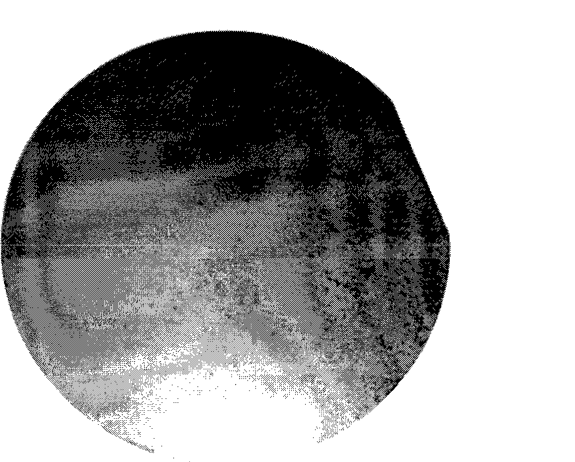 Silicon chip cleaning liquid and cleaning method thereof