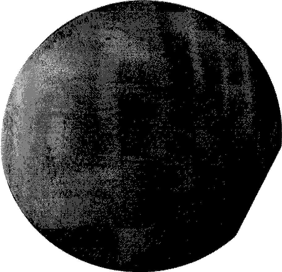 Silicon chip cleaning liquid and cleaning method thereof