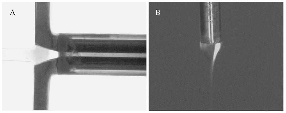 A method for preparing drug-loaded nanoparticles with core-shell structure