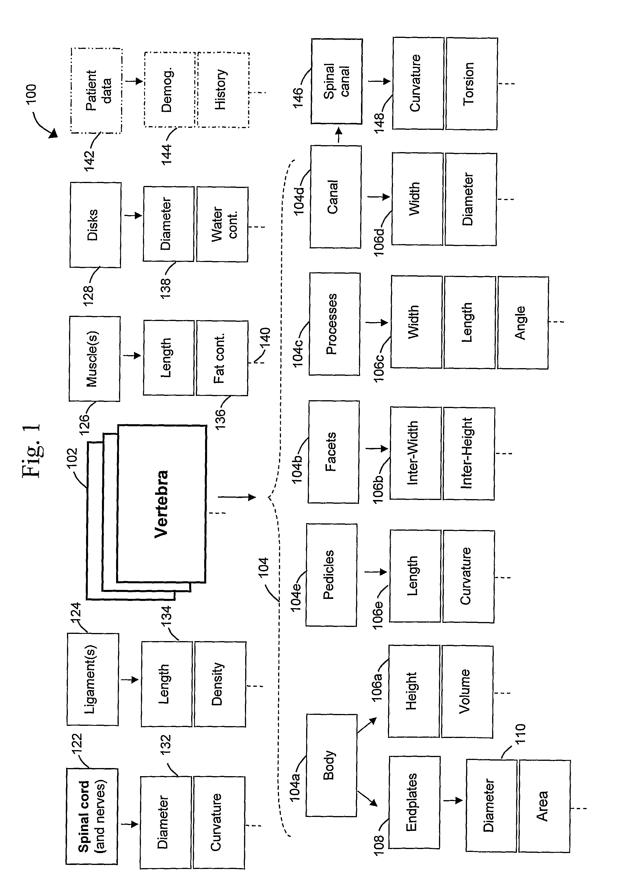 Assessment of Spinal Anatomy