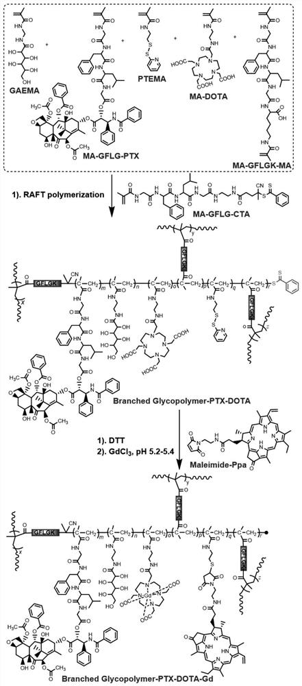 Branched sugar-containing polymer-based nano particle as well as preparation method and application thereof