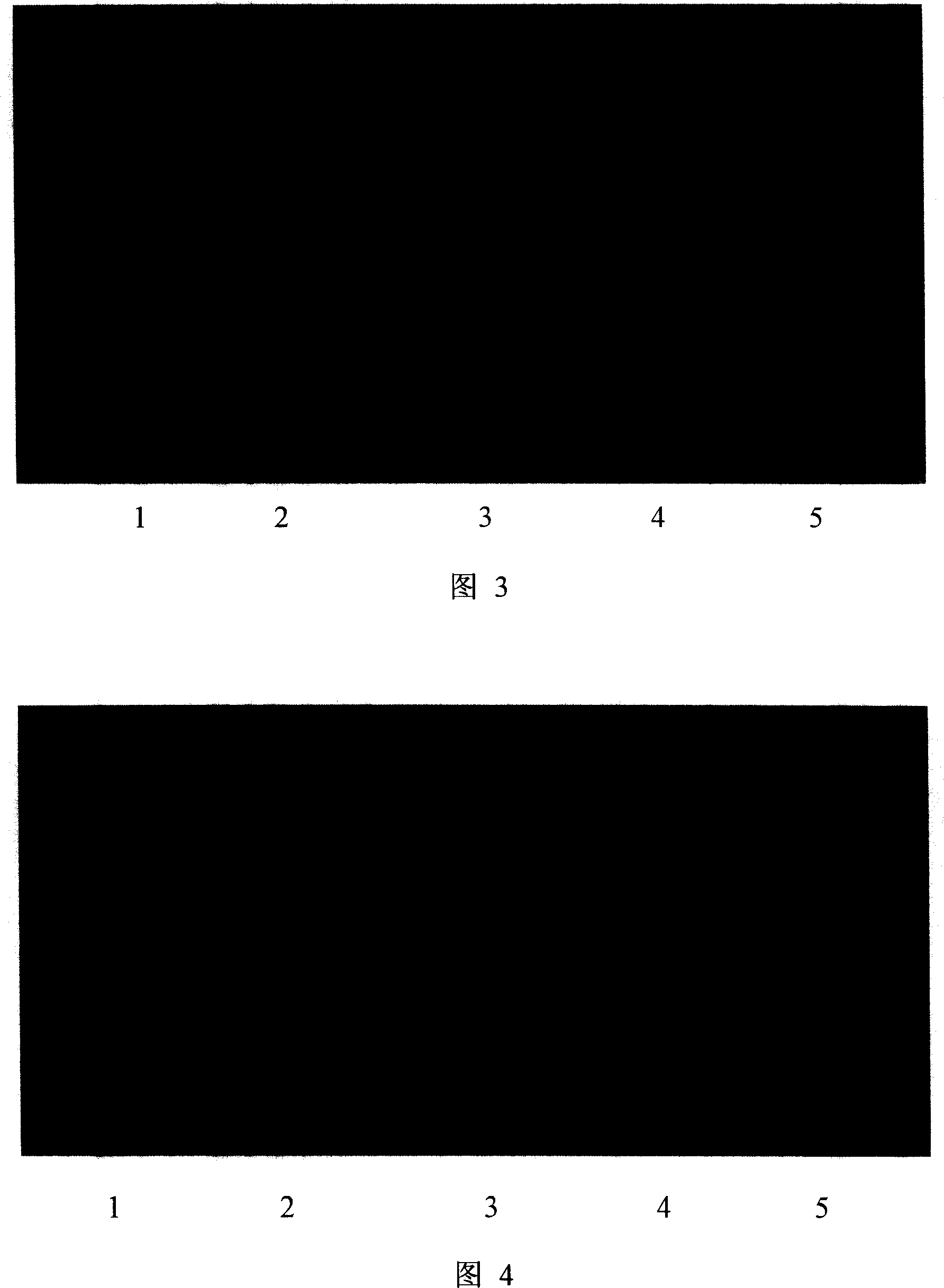 Quick detection reagent for royal jelly freshness