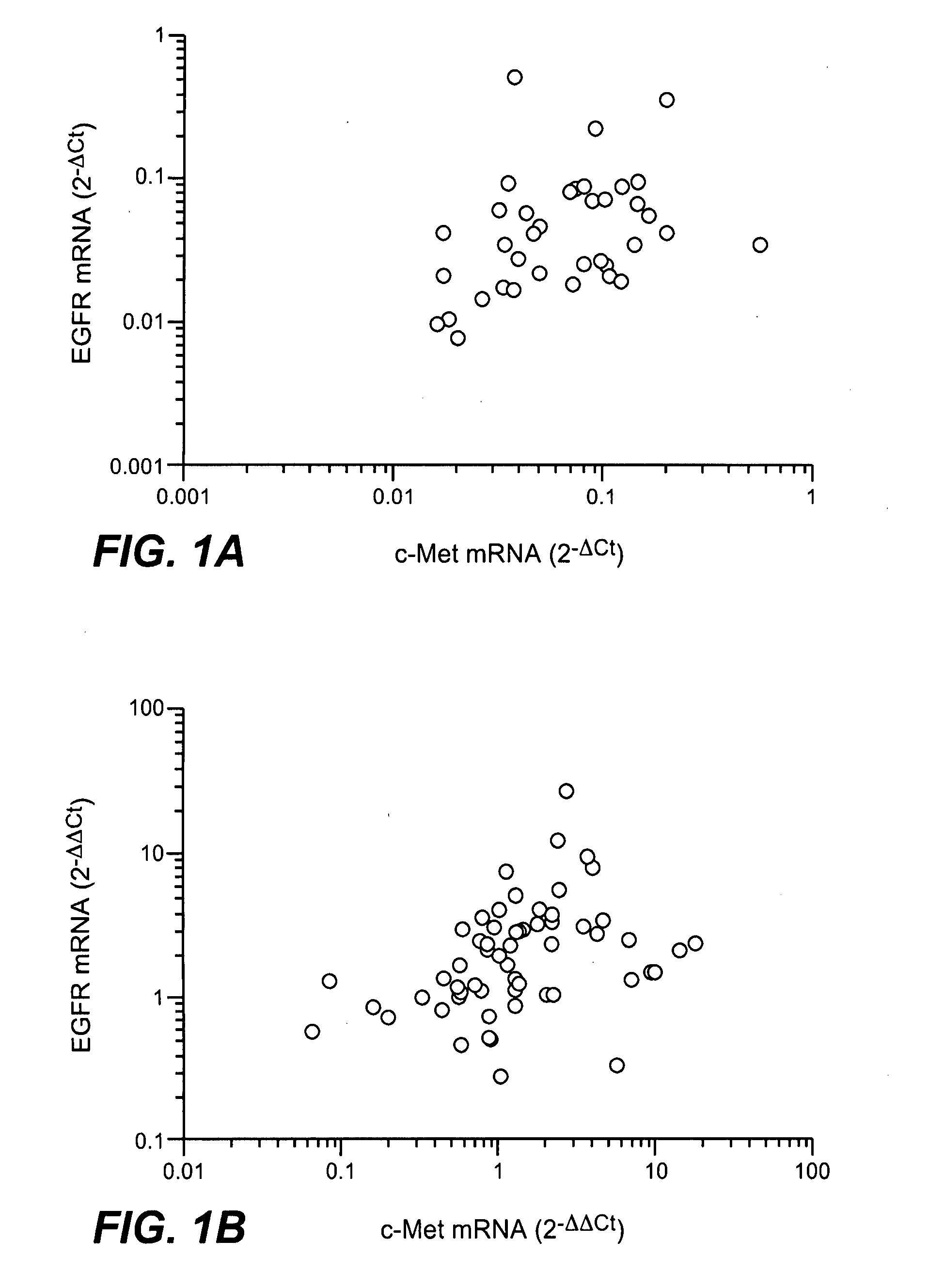 Combination therapy with c-met and EGFR antagonists