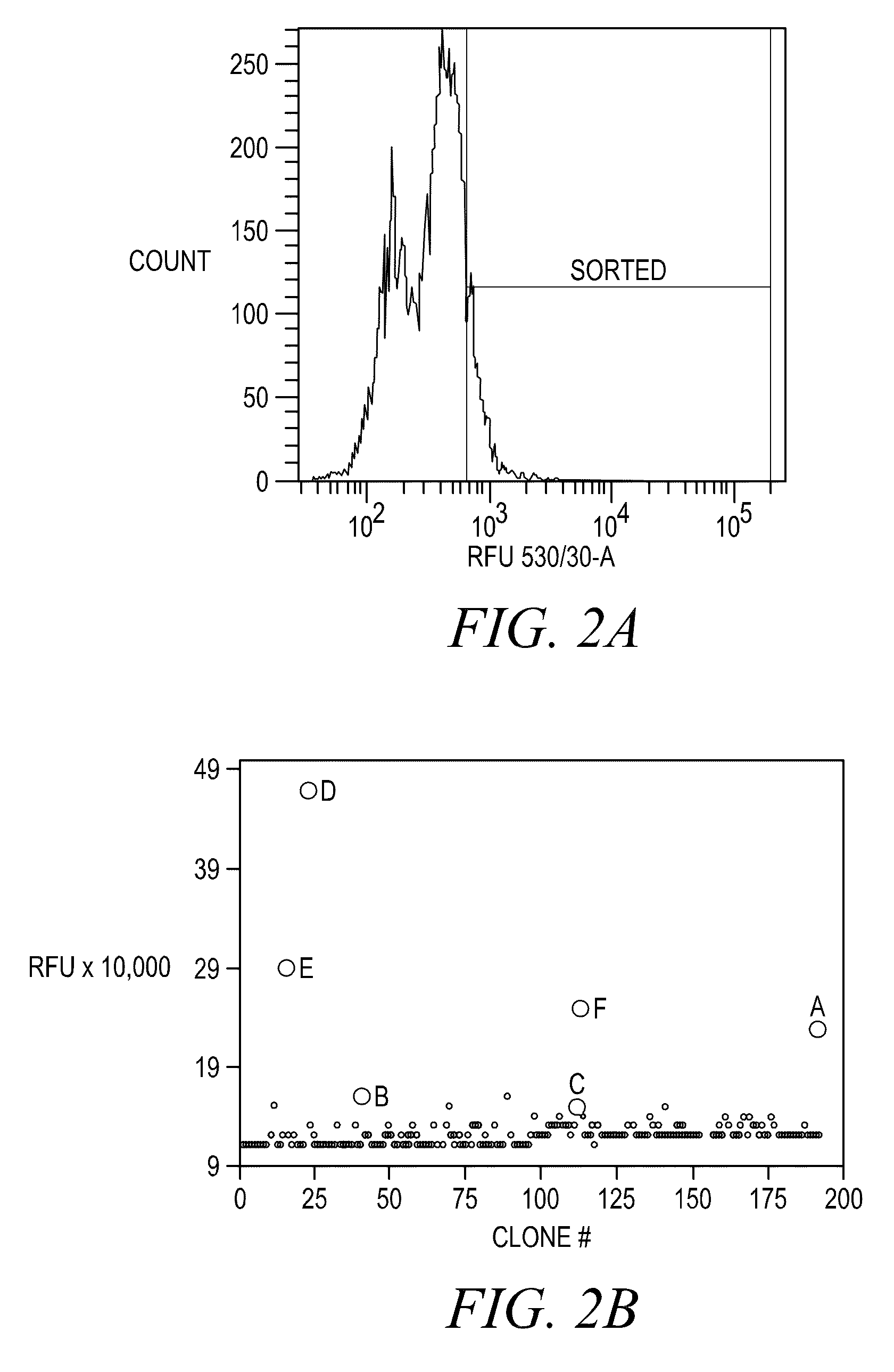 FLUORESCENCE POLARIZATION hERG ASSAY