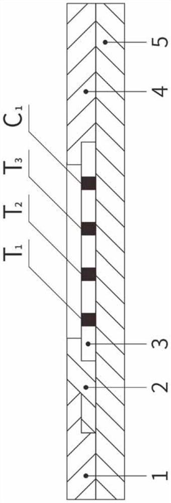 Fluorescent microsphere detection device for gastric function and gastric cancer risk and preparation method thereof