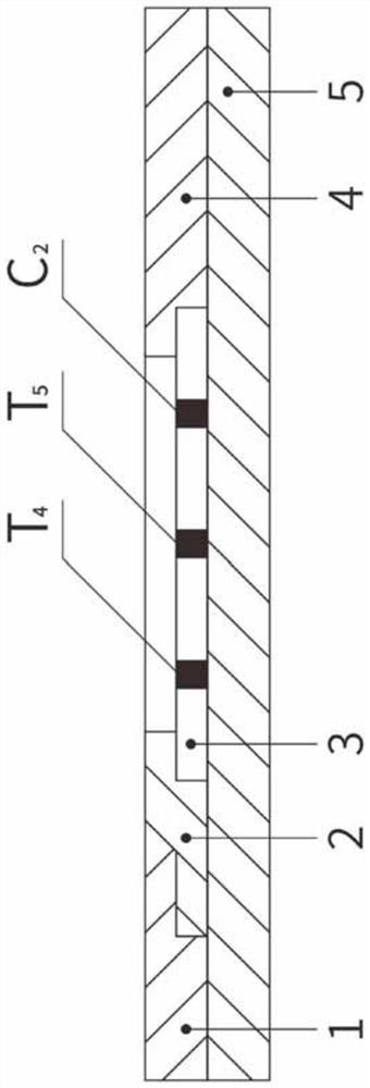 Fluorescent microsphere detection device for gastric function and gastric cancer risk and preparation method thereof