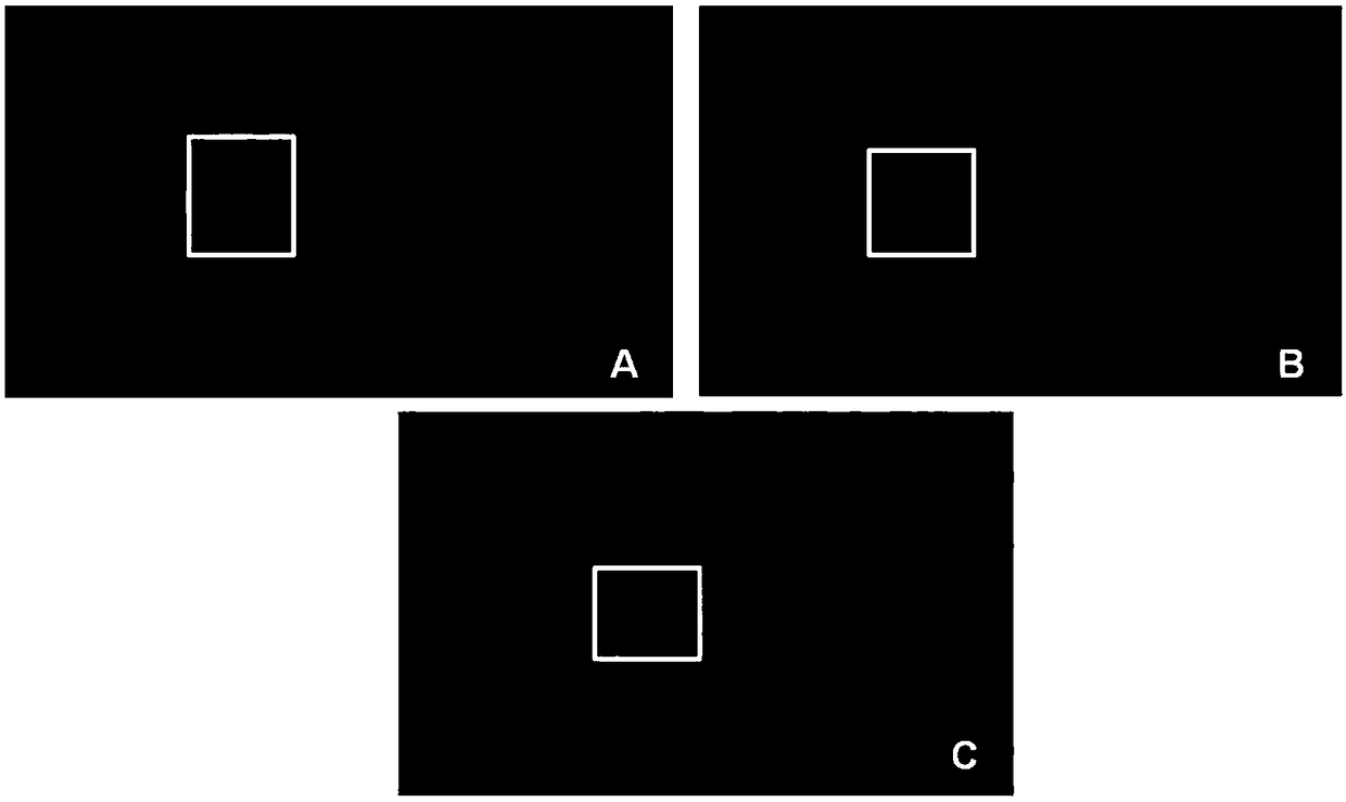 Application of active octapeptide in aspect of protecting sensory hair cells