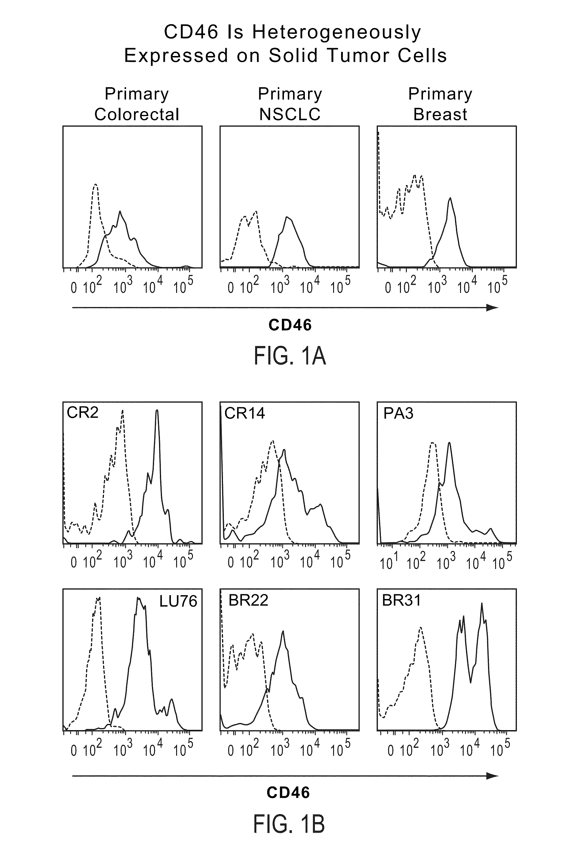 Identification and Enrichment of Cell Subpopulations