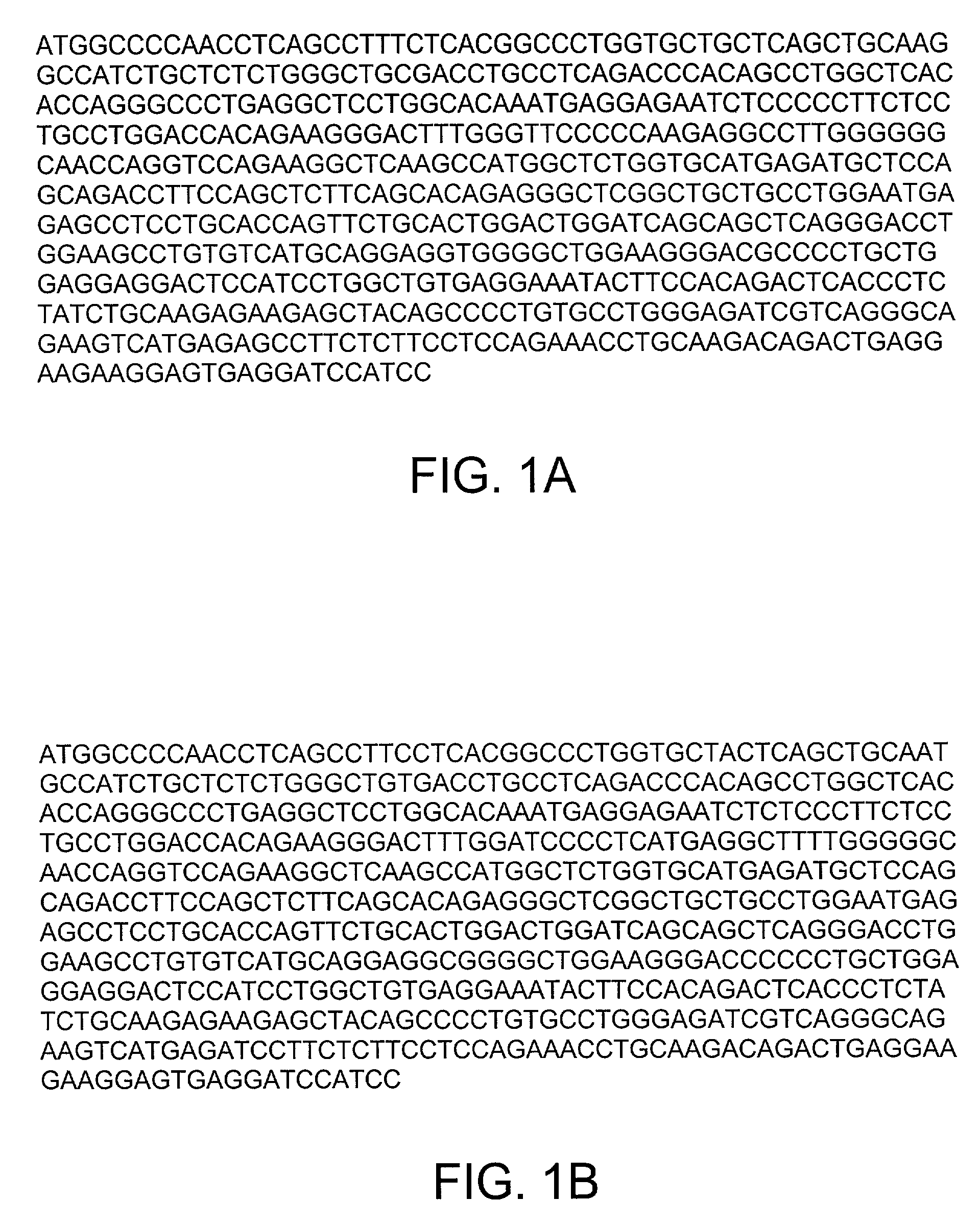 Foot and mouth disease virus vaccine comprising interferons