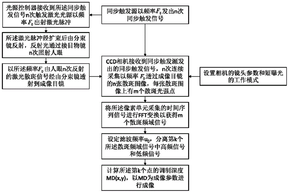 Fundus optical full-field microangiography imaging device and method