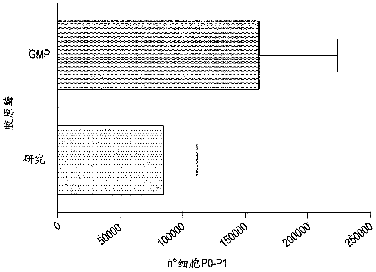 Method for the isolation of subpopulations of cardiac progenitor cells and related uses in the medical field