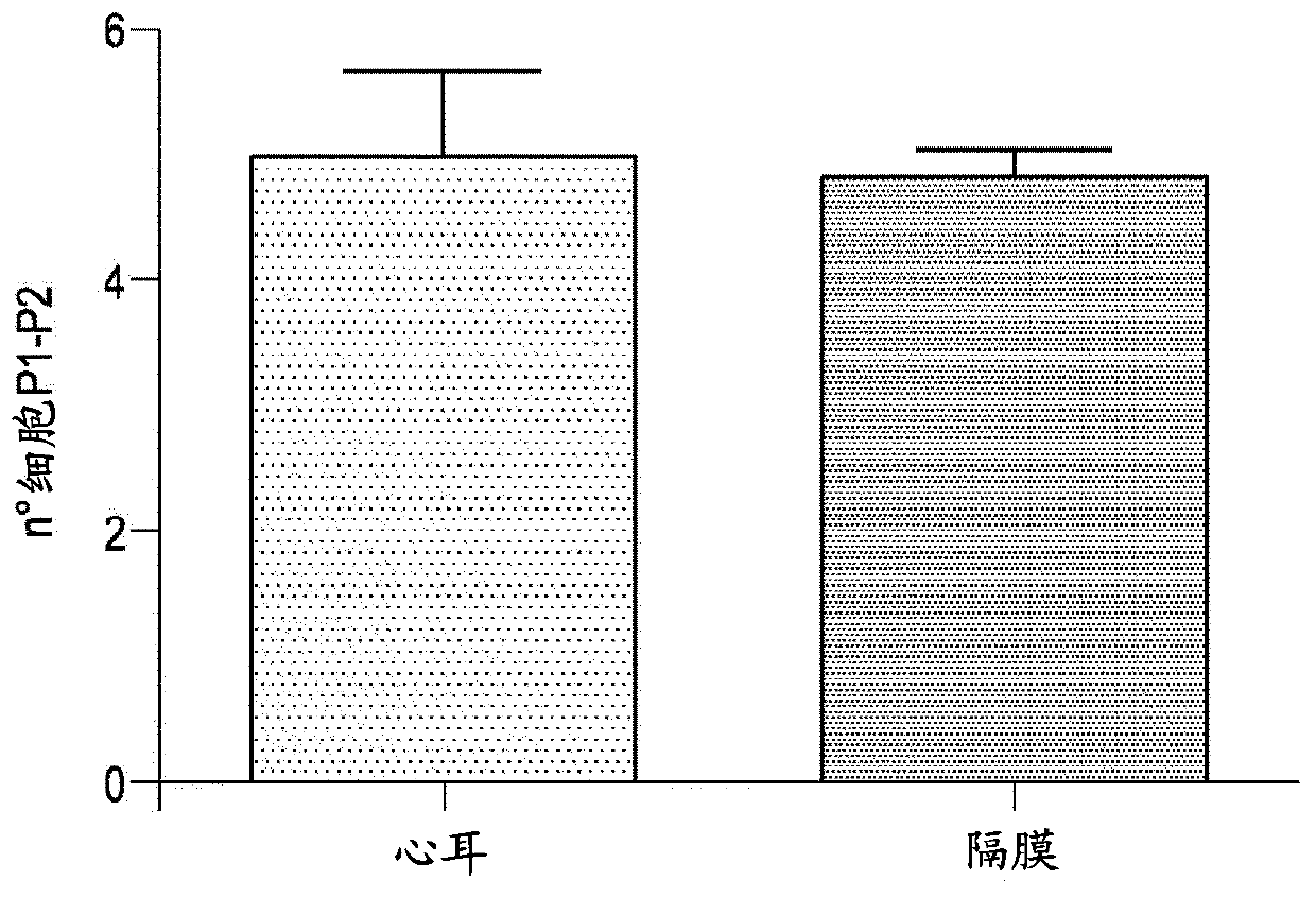 Method for the isolation of subpopulations of cardiac progenitor cells and related uses in the medical field