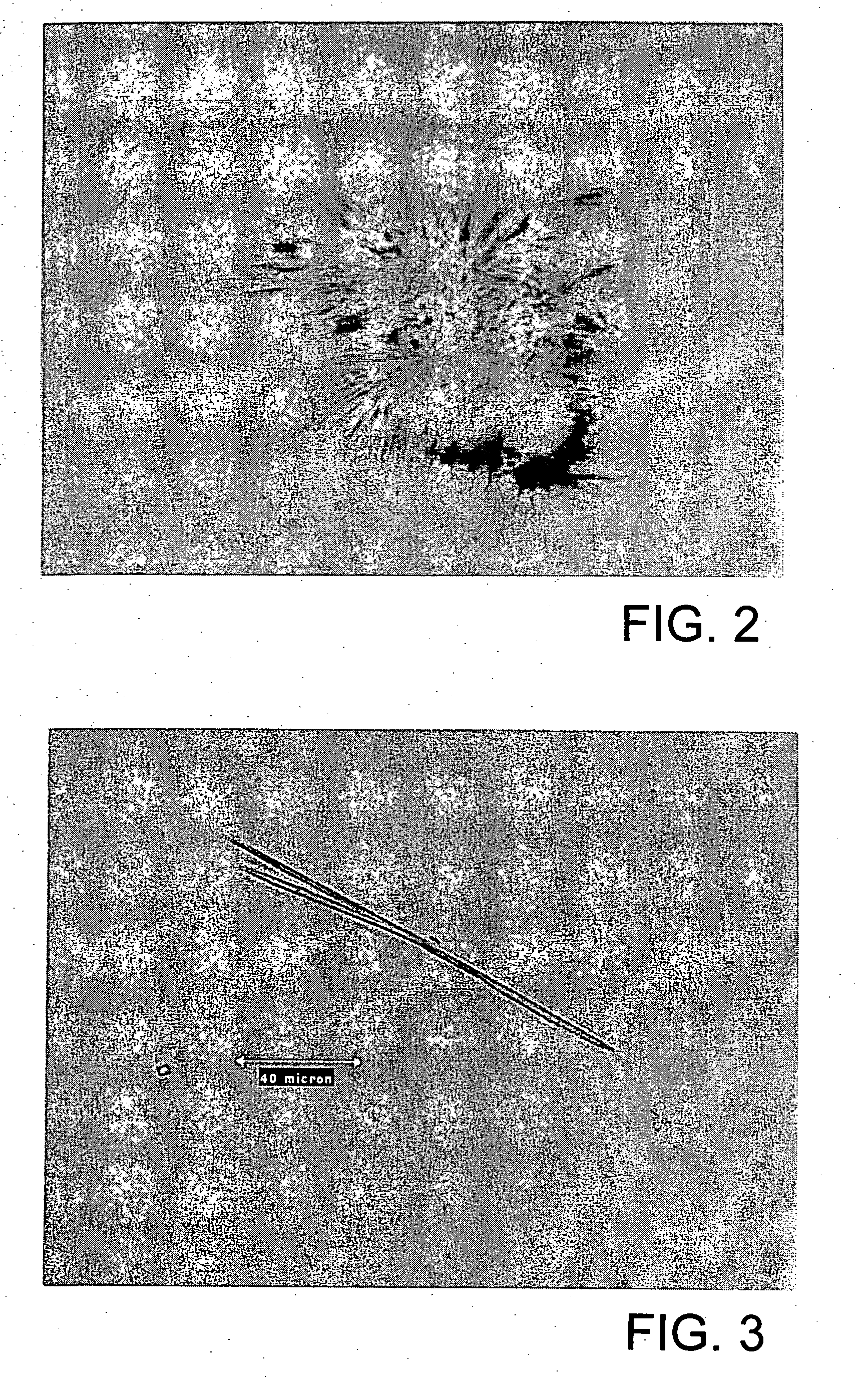 Methods for preparing purified lipopeptides