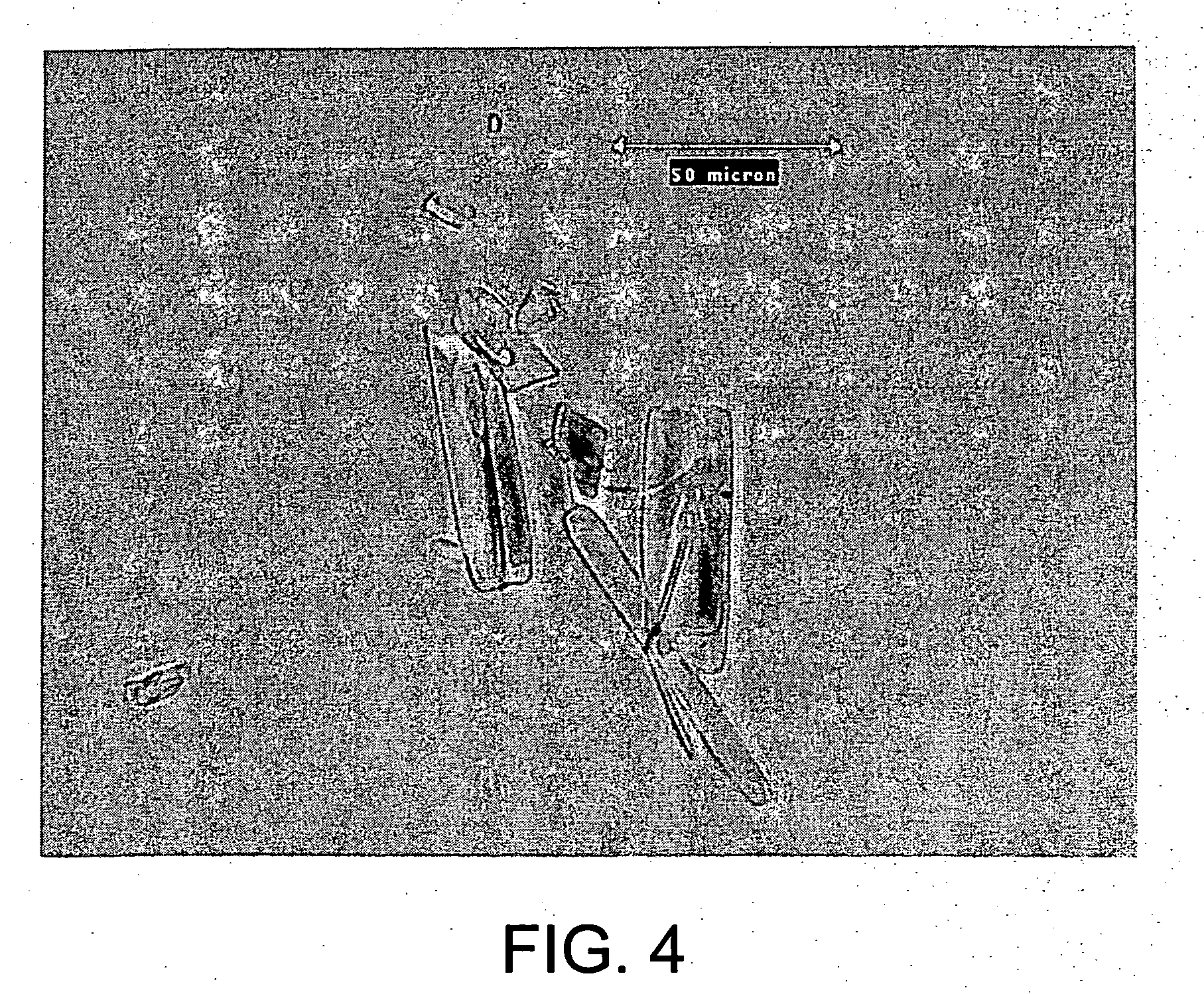 Methods for preparing purified lipopeptides