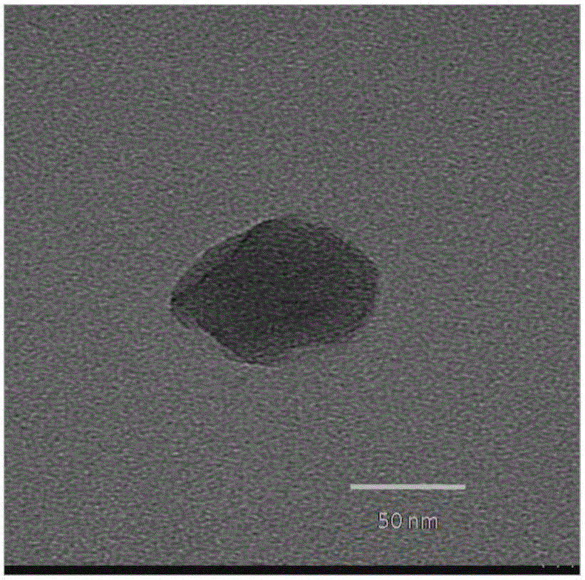 Targeted nanometer photosensitizer for photodynamics deep tumor therapy and preparing method thereof