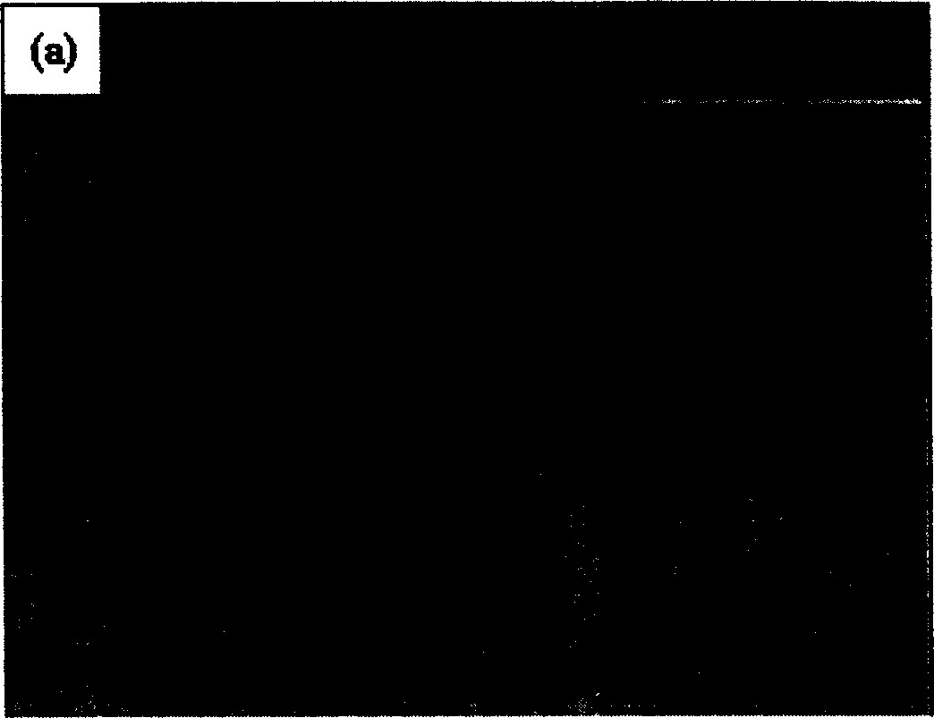 Crosslinked core-shell structure nano-polymer microsphere and its preparation method