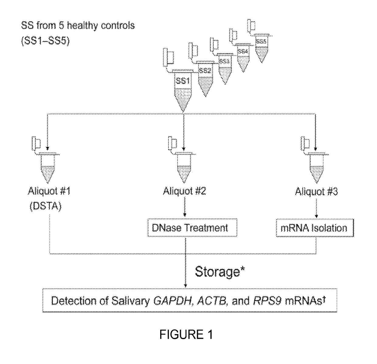 Saliva collection, processing, stabilization, and storage method