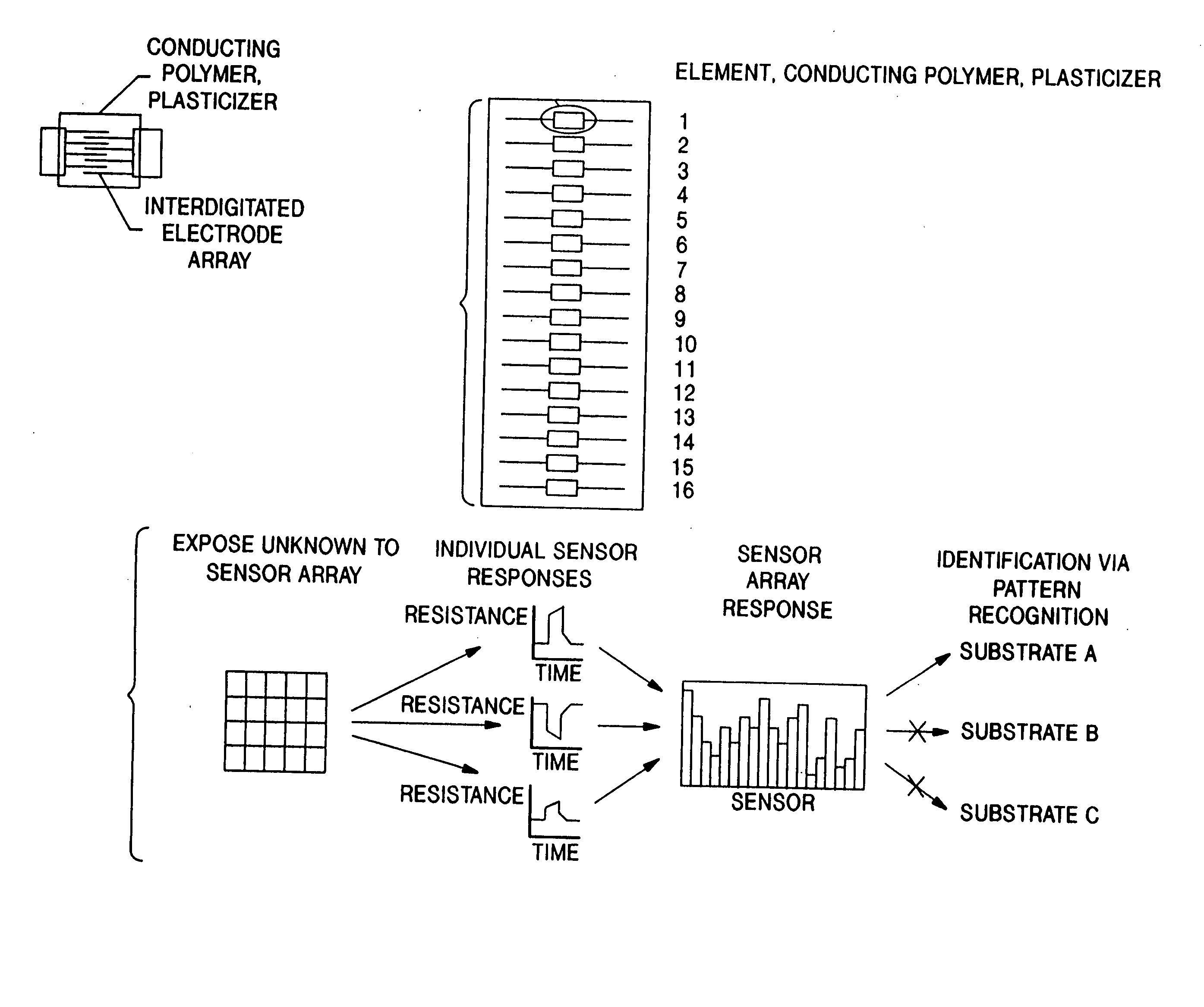 Sensors and sensor arrays of conducting and insulating composites and methods of use thereof