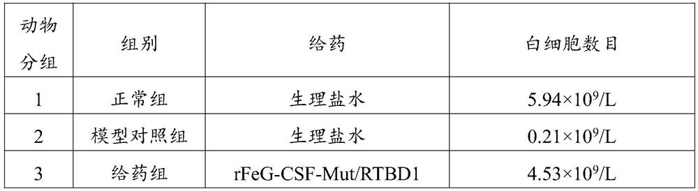 Cat granulocyte colony stimulating factor mutant recombinant fusion protein as well as preparation method and application thereof