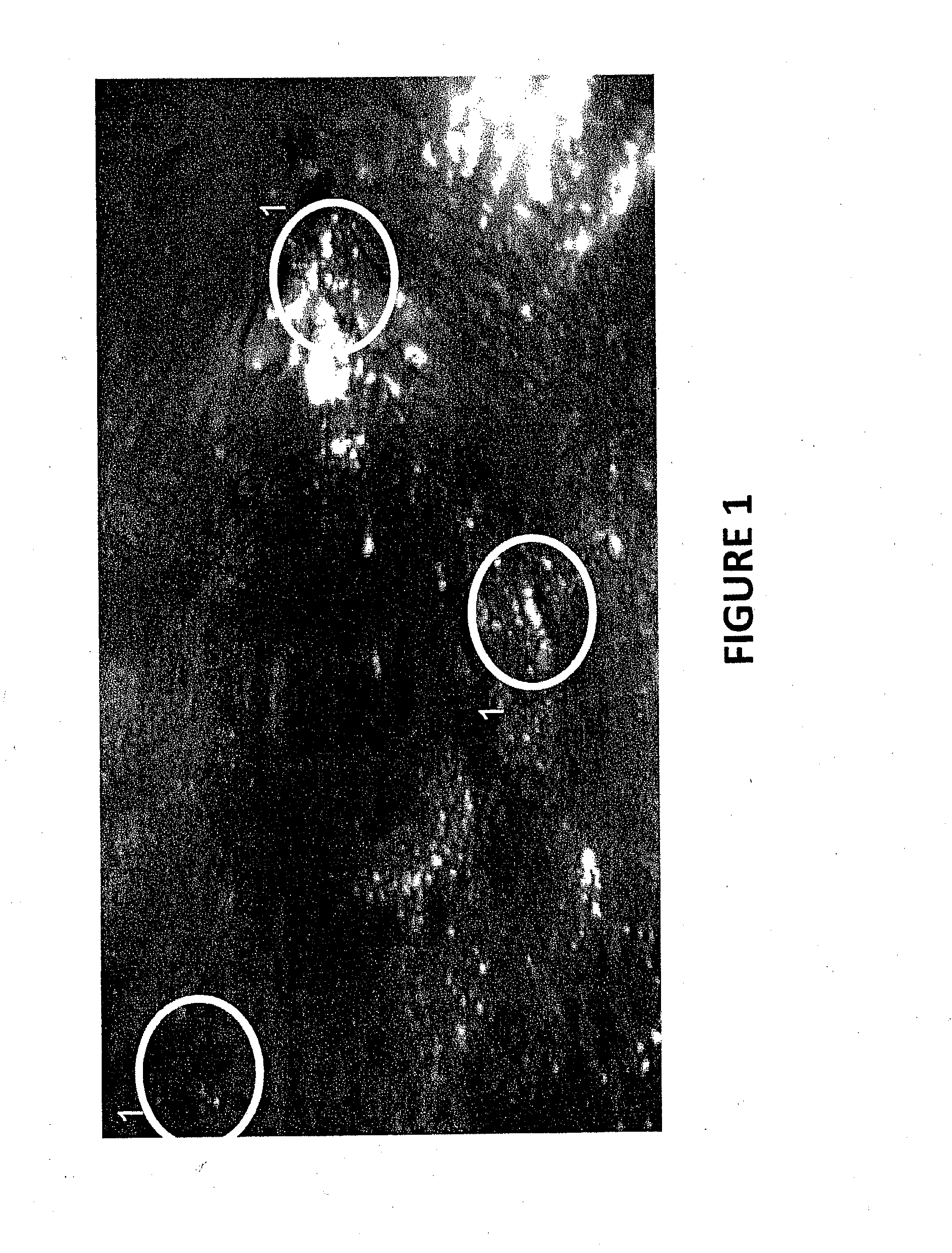 Compositions and methods for enhanced hydrocarbon recovery