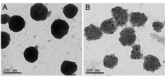 Drug-carrying liposome co-modified by folic acid and TAT peptide and preparation method thereof