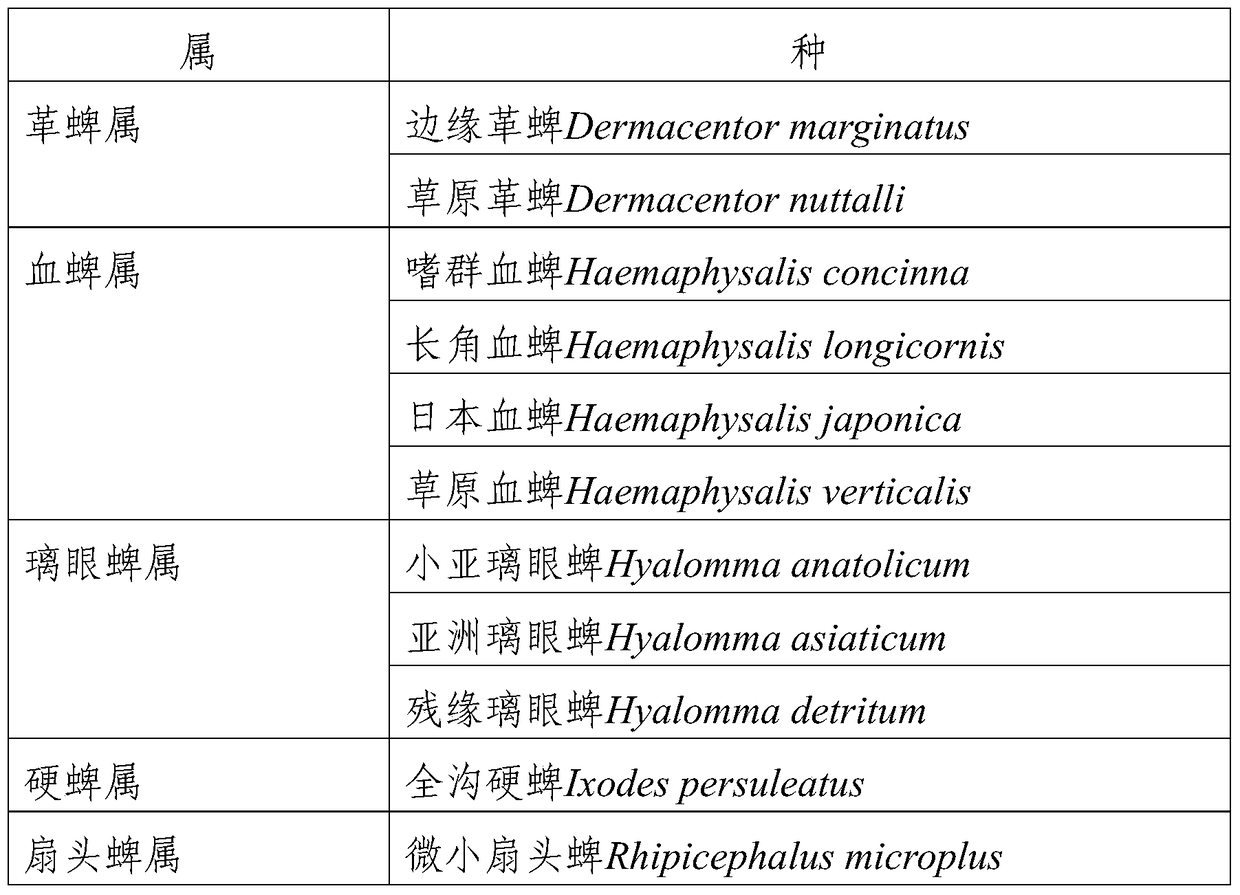 Amplification primers for the full-length sequence of the coiii gene of Ixodes tick and its application