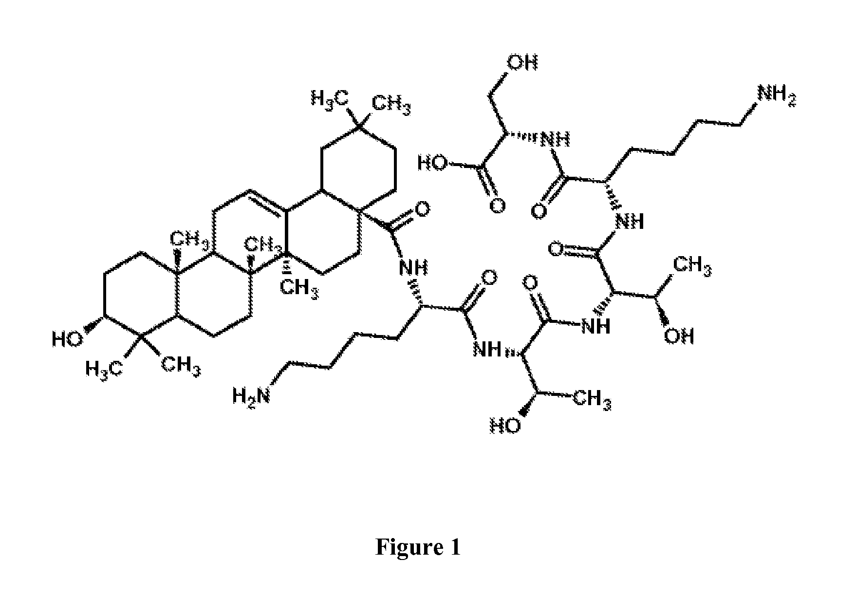 Oleanoyl peptide composition and a method of treating skin aging