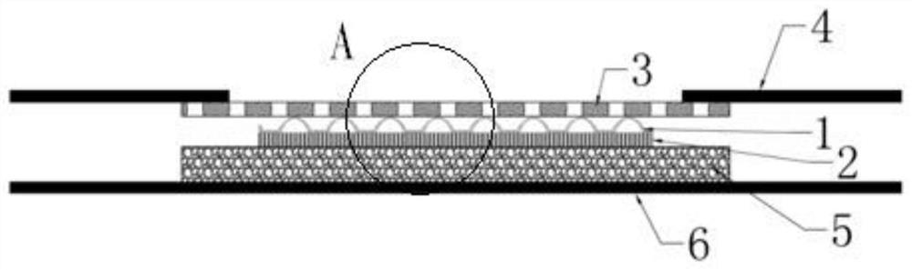 Flow guide structure and absorption product