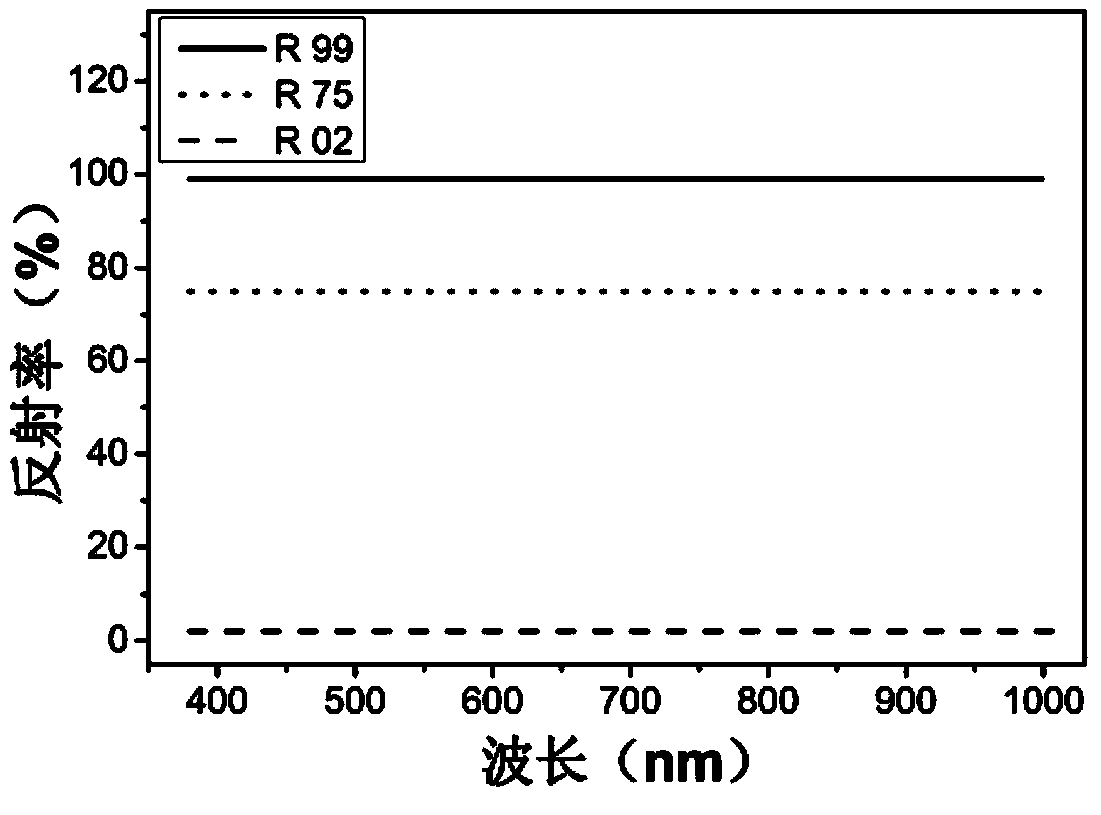 Detection method for distribution of fish protein content based on hyper-spectral imaging technology