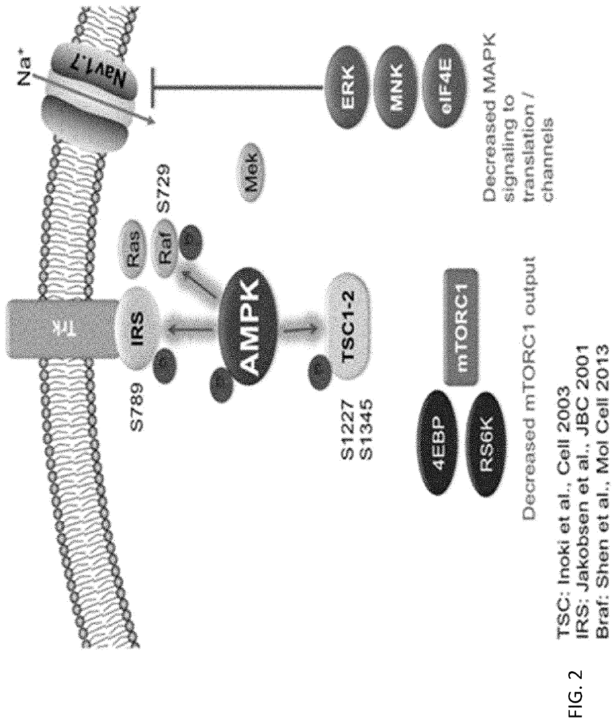 Resveratrol medication for the treatment of ocular pain and method of use thereof