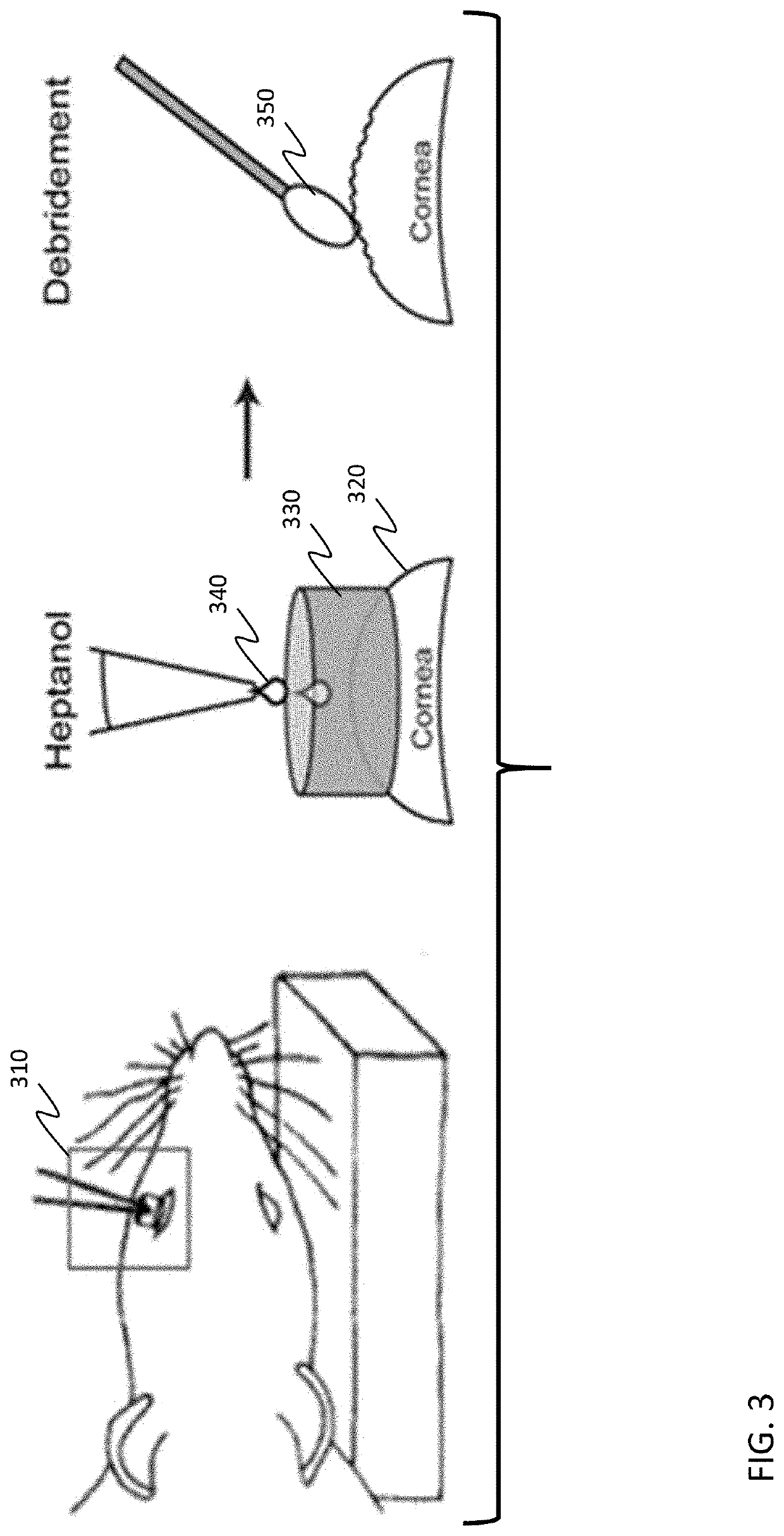 Resveratrol medication for the treatment of ocular pain and method of use thereof