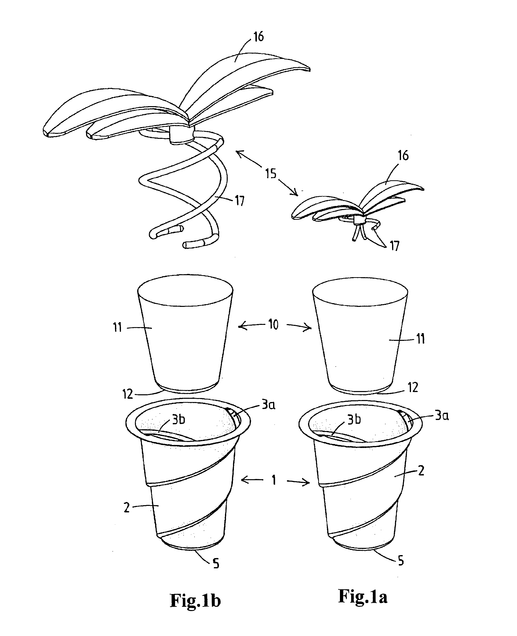 Epiphyte growing system with a spirally downwardly extending groove-shaped space