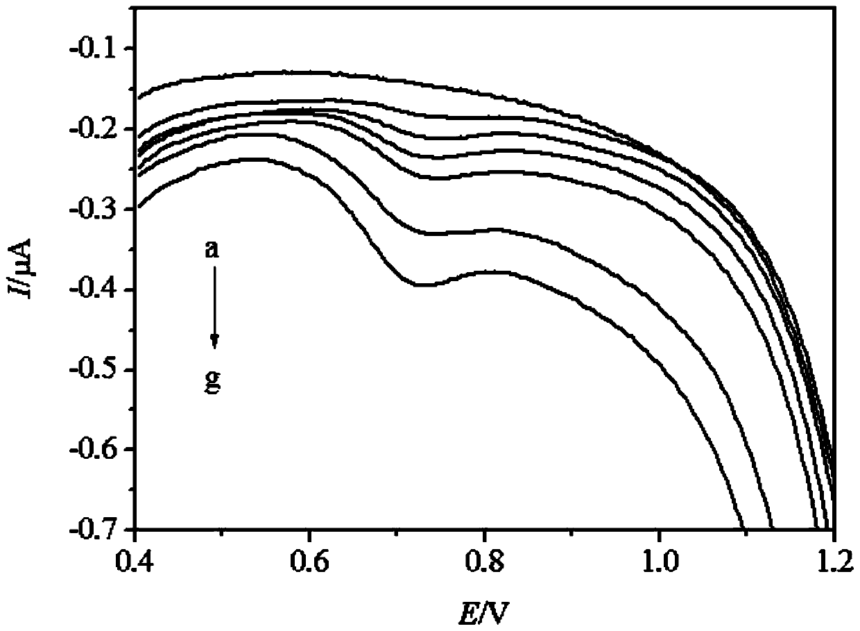 Method for detection of tyrosine with chitosan-functionalized gold nano-modified glassy carbon electrode