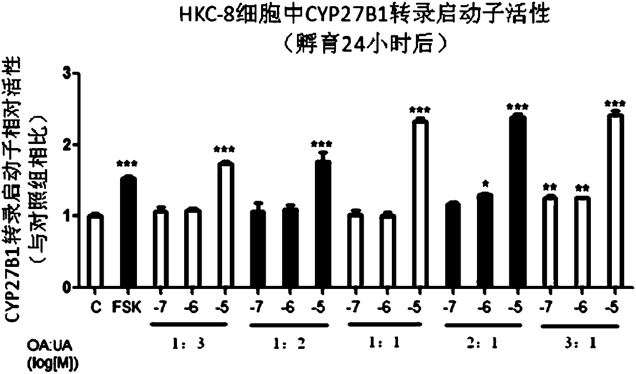 Application of oleanolic acid and ursolic acid in preparing medicine for regulating activity of vitamin D3 metabolic enzyme