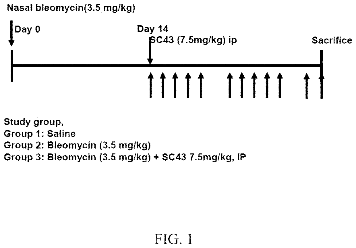 Method for ameliorating fibrosis using 1-[4-chloro-3-(trifluoromethyl)phenyl]-3-[3-(4-cyanophenoxy)phenyl]urea