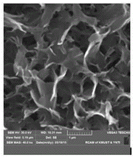 Preparation method and application for nanosheet formed by carbon-coated titanium dioxide nanotube