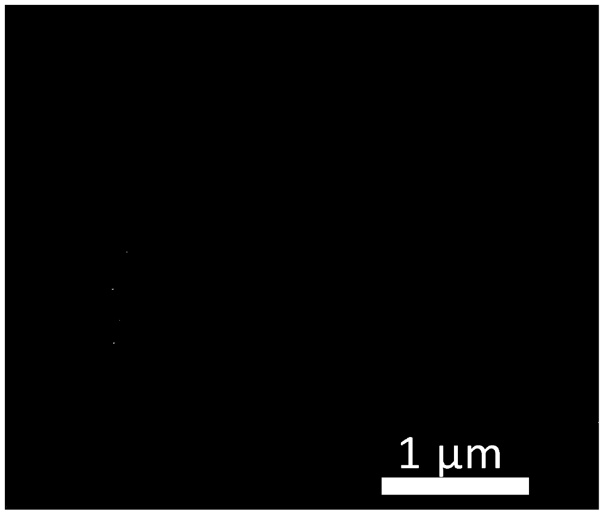 Preparation method and application of high specific capacity lithium ion battery negative electrode material