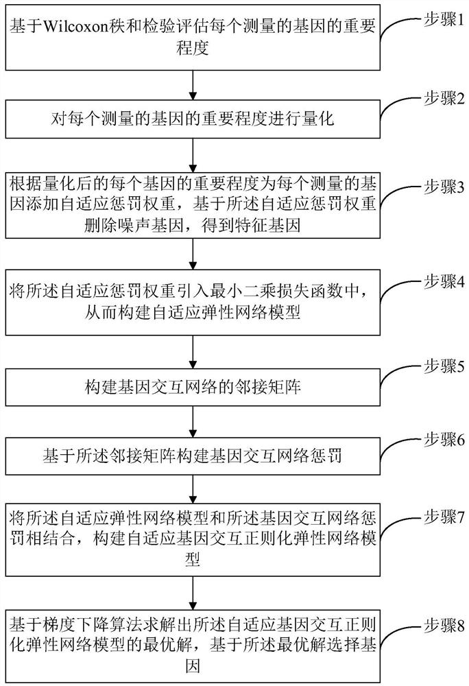 Gene selection method and system based on adaptive gene interaction regularization elastic network model