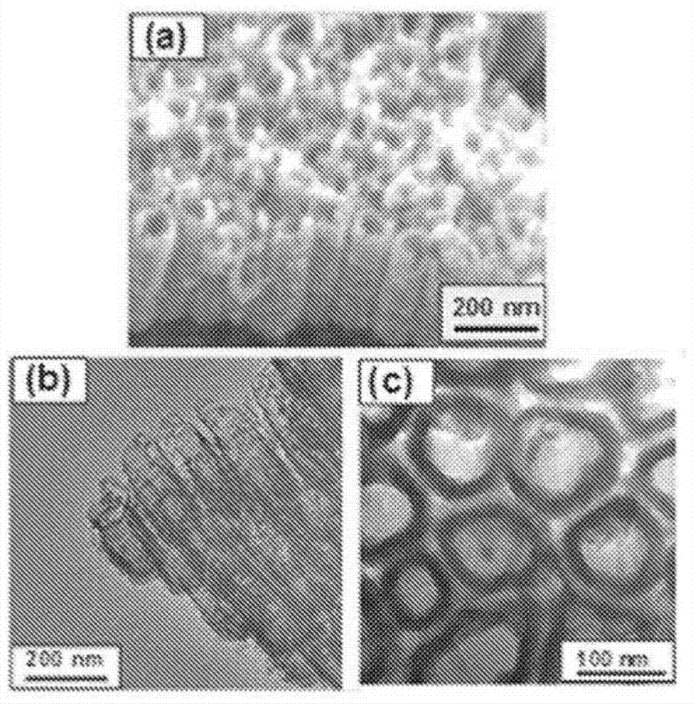 Products of manufacture having tantalum coated nanostructures, and methods of making and using them