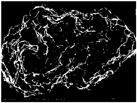 Silsesquioxane-based nitrogen-doped silicon-carbon composite anode material and preparation method thereof