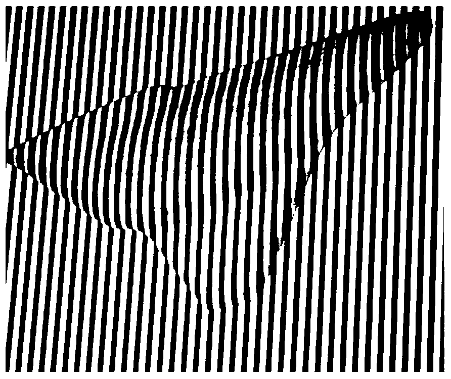 Improved window Fourier three-dimensional measuring method based on wavelet transform